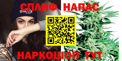ПСИЛОЦИБИНОВЫЕ ГРИБЫ Заводоуковск