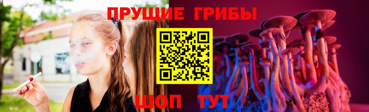 Галлюциногенные грибы Psilocybe Сургут
